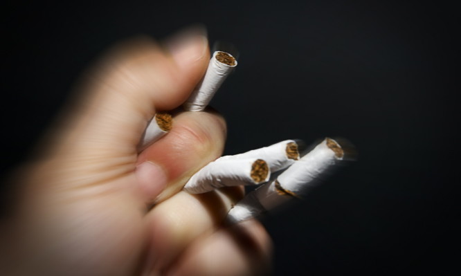 02011tsigaro-666x399