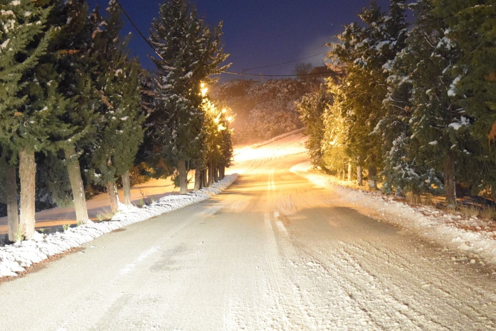 15896041_1218335918249569_4715129663648746072_o