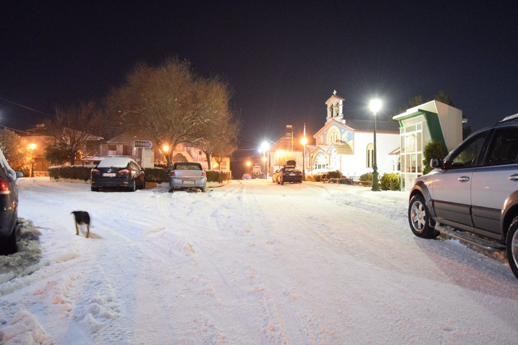 15936489_1218336901582804_5815386592998044511_o