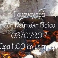 Γουρνοχαρά 2017 στη Νεάπολη Βοΐου