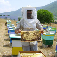 Ο μηχανικός Γιάννης Καλαμπούκας βάζει την Σιάτιστα στον μελισσοκομική χάρτη – Επενδύει σε τυποποιητήριο για να αρχίσει εξαγωγές μελιού
