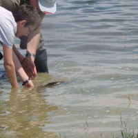 Η απάντηση των Αθλητικών Συλλόγων Ερασιτεχνικής Αλιείας Κοζάνης και Πτολεμαΐδας για την πρόταση μη διεξαγωγής των Φεστιβάλ