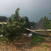 Βιβλικές καταστροφές από την χαλαζόπτωση στους Πύργους Εορδαίας – Ολοκληρωτική καταστροφή σε μήλα και κεράσια