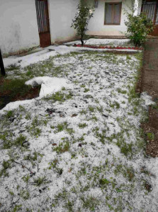 oloop8yugfofto7tdi7e