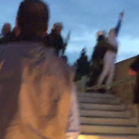 Η Ραχήλ Μακρή προσπάθησε να εισβάλει στη Βουλή αλλά την πήραν… σηκωτή! Δείτε το βίντεο