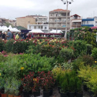 Ολοκληρώθηκε η 19η Ανθοκομική Έκθεση του Δήμου Εορδαίας