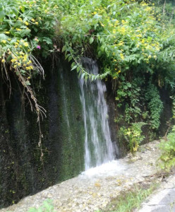 1e6u7yked67uke6ke67k6e7k67uu