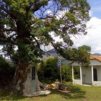 Δενδροκκλησιά Αγίου Παϊσίου: Ένα εκκλησάκι χτισμένο στο εσωτερικό ενός δέντρου στην Αγία Βαρβάρα Κόνιτσας