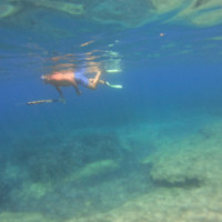 Χαλκιδική: Ταχύπλοο παρέσυρε και σκότωσε 57χρονο ψαροντουφεκά από την Πτολεμαΐδα!