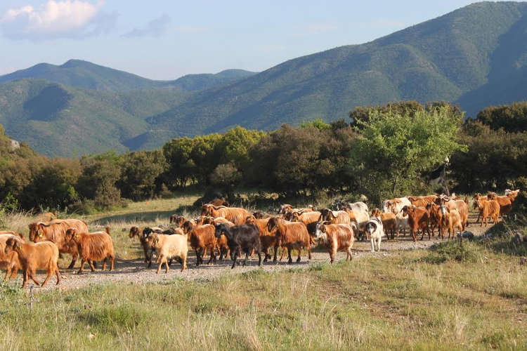 srthnwq45rqw45rnae45rnaw4er