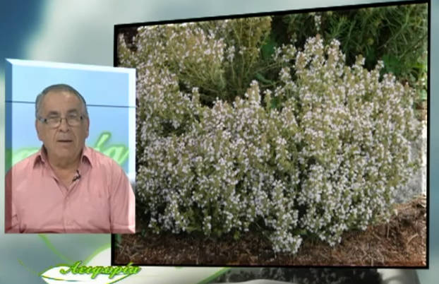 eytwteyjuhetyjuetyujyt