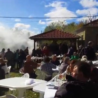 Δείτε το βίντεο από τη φετινή Γουρουνοχαρά στην Λούβρη Bοΐου