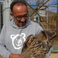Βρέθηκε εγκλωβισμένος μπούφος σε εγκαταστάσεις της ΔΕΗ στη Σιάτιστα – Δείτε το βίντεο