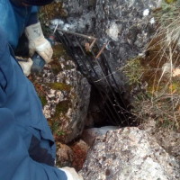 Επανεμφάνιση της αρκούδας στην Αναρράχη του Δήμου Εορδαίας – Χρήσιμες πληροφορίες από τους αρμόδιους φορείς