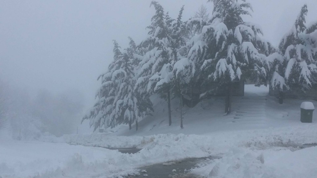 28461540_955067327976896_523898684_o