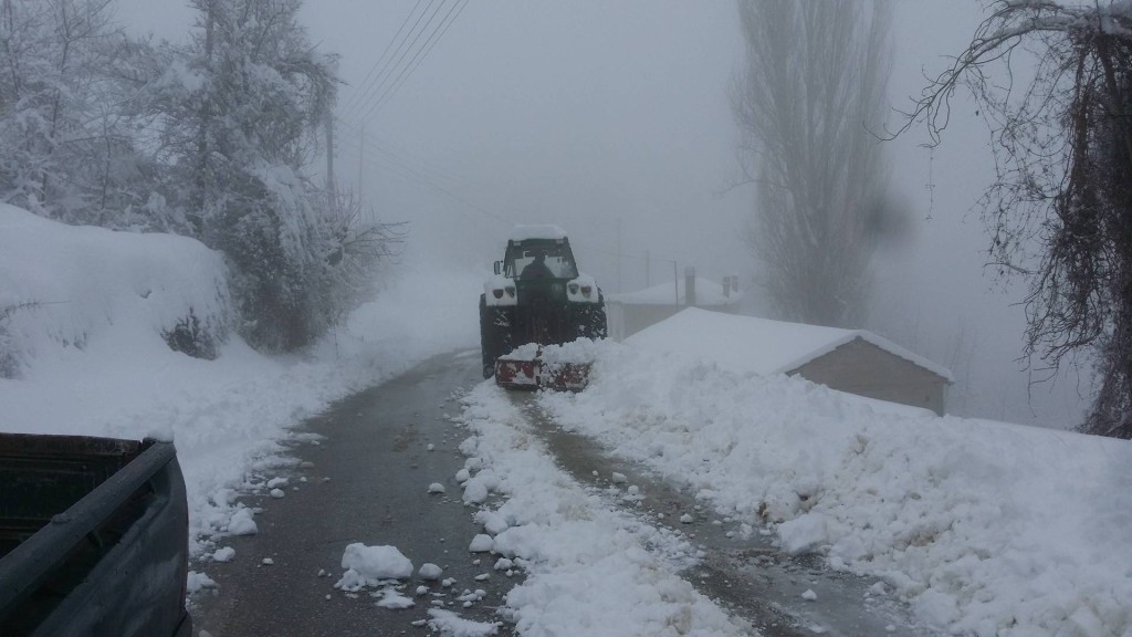 28500218_955067567976872_796691679_o