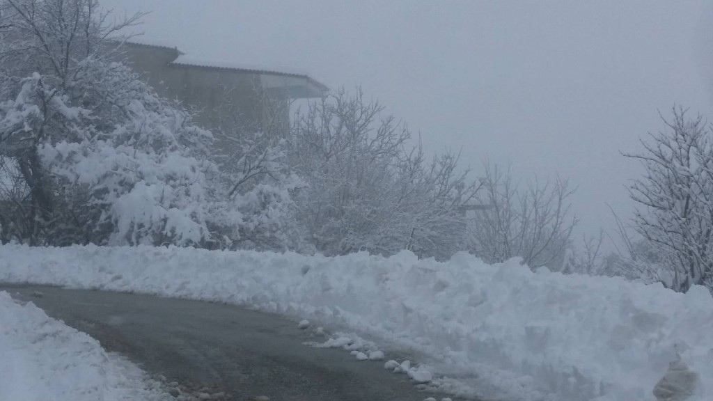 28500811_955067344643561_1353709647_o