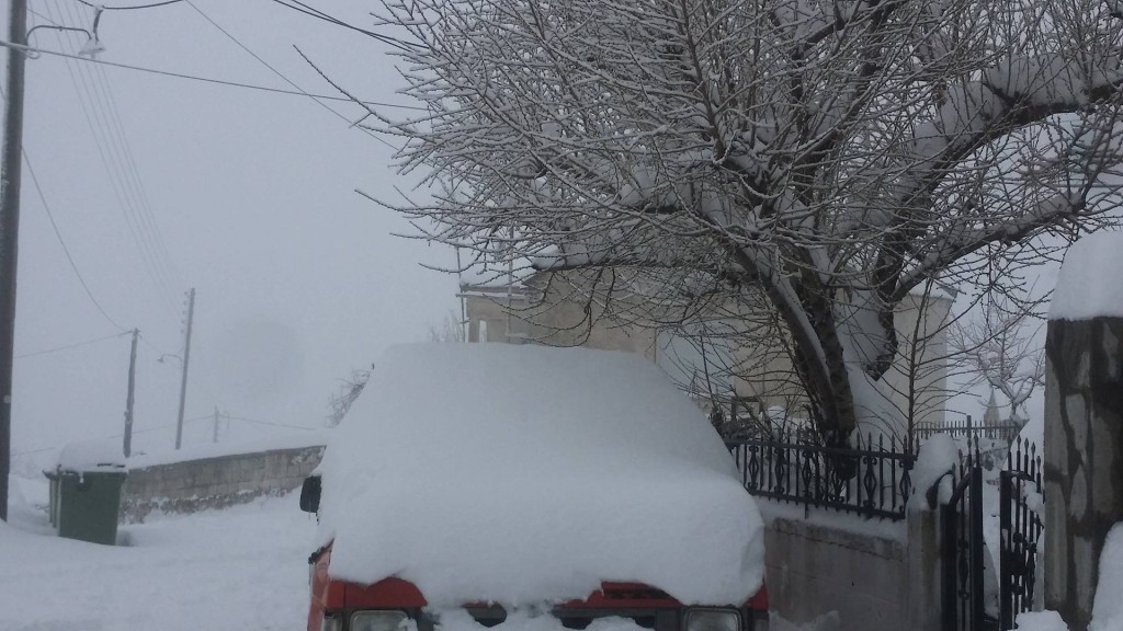 28504847_955067317976897_2109153506_o