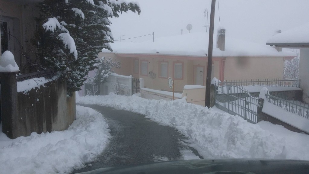 28554759_955067477976881_110931114_o