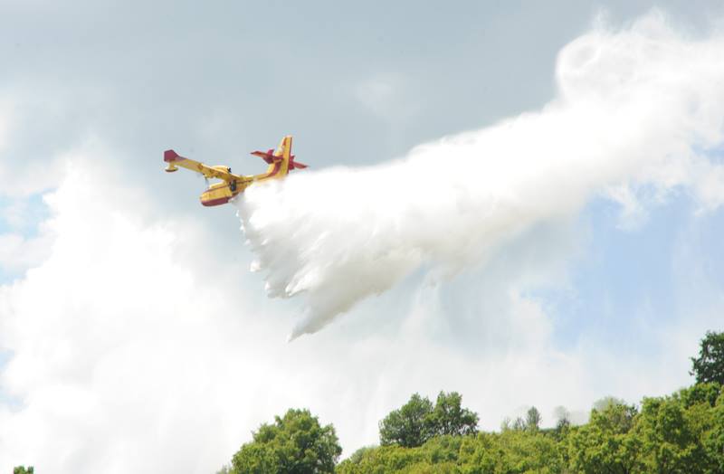 31317962_1660899780644904_2512313881112608768_n