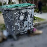 Ραγδαίες εξελίξεις: Συνελήφθησαν μάνα και κόρη για το βρέφος που πέταξαν σε κάδο στην Πετρούπολης