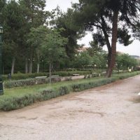 «Mαμά, ένα παιδάκι πάει στο πάρκο!» – Της Βιολέττας Μπούσιου