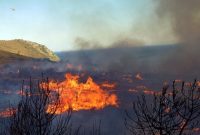 Έναρξη αντιπυρικής περιόδου από 1η Μαΐου – Έκκληση της ΠΕ.ΠΥ.Δ. Δυτικής Μακεδονίας για αυξημένη προσοχή και πρόληψη