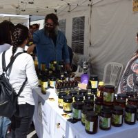 Γιορτές μελιού σε Κοζάνη και Πτολεμαΐδα από τον Μελισσοκομικό Σύλλογο Π.Ε Κοζάνης