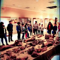 Με μεγάλη συμμετοχή ολοκληρώθηκαν τα «τέσσερα μικρά βήματα στον πολιτισμό» στο Παλαιοντολογικό Μουσείο Πτολεμαΐδας