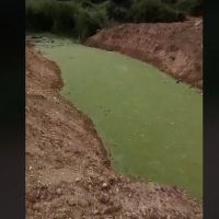 SOS από το Σύλλογο Προστασίας Βεγορίτιδας – Βίντεο από την οικολογική καταστροφή σε ρέματα της περιοχής