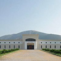 Ειδικές διακρίσεις και νέα βραβεία για το Δραμινό οινοποιείο Κτήμα Παυλίδη