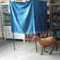 Σχόλιον εκλογικόν του Β. Π. Καραγιάννη