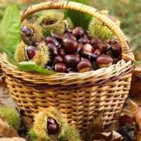 Την Κυριακή 13 Οκτωβρίου η 9η γιορτή Κάστανου στο Εμπόριο Εορδαίας