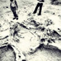 Τα λίθινα εργαλεία ηλικίας 2,5 εκ. χρόνων που βρέθηκαν στην Εορδαία το 1977