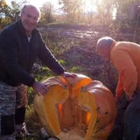 Κολοκύθα βάρους 200 κιλών σε κτήμα στην Πτολεμαΐδα – Δείτε φωτογραφίες