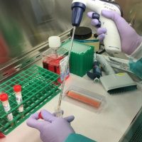 Κορονοϊός: Εκατοντάδες έλεγχοι το τελευταίο 24ωρο σε όλη τη χώρα – Ενημερώθηκαν πάνω από 1500 άτομα για την πιθανότητα να εμφανίσουν λοίμωξη από τον κορονοϊό