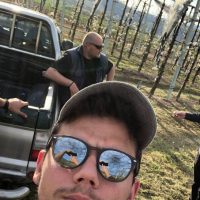 Ζημιές σε δενδροκαλλιέργειες μήλων και κερασιών σε Πύργους, Μεσόβουνο, Κομνηνά Εορδαίας