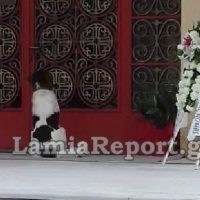 Βίντεο: Σκύλος στη Φθιώτιδα αποχαιρετά με τον δικό του τρόπο το αφεντικό του και συγκινεί