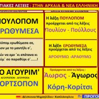 Πουλόπομ, ερωθύμεσα, αγουρόπον, κορτσόπον: Ερμηνεία Ποντιακών λέξεων και φράσεων – Γράφει η Δέσποινα Μιχαηλίδου Καπλάνογλου: