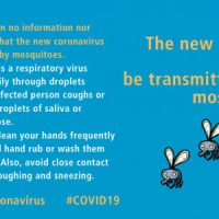 Μεταδίδεται ο κορονοϊός από τσίμπημα κουνουπιών;