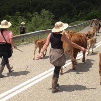 15 Οκτωβρίου η Παγκόσμια Ημέρα της Γυναίκας Αγρότισσας – Γράφει η Καλλιόπη Σεμερτζίδου