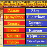 Λέξεις και φράσεις της ποντιακής διαλέκτου με ρίζες από την αρχαιοελληνική διάλεκτο – Της Δέσποινας Μιχαηλίδου Καπλάνογλου