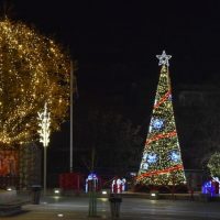 Επειδή στην προσμονή φτερουγίζει ο νους – To αστέρι των Χριστουγέννων φωτίζει τον έγκλειστο κόσμο μας – Της Ιωάννας Γκουτζιαμάνη