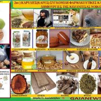 Οι καρυδιές και οι φαρμακευτικές χρήσεις – Δημιουργίες με καρύδια της Κοζανίτισσας νοικοκυράς – Της Μάρθας Καπλάνογλου