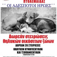 20 δωρεάν στειρώσεις από το Φιλοζωικό Σωματείο Προστασίας Αδέσποτων Ζώων Πτολεμαΐδας “Οι Αδέσποτοι Ήρωες”