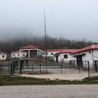 Δημοπρασία εκποίησης 150 τουλάχιστον αμνών φυλής «Φλωρίνης-Πελαγονίας» του Πρότυπου Κέντρου Κτηνοτροφίας και Εκπαίδευσης Βλάστης