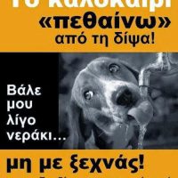 Φιλοζωικό Σωματείο Προστασίας Αδέσποτων Ζώων Πτολεμαΐδας “Οι Αδέσποτοι Ήρωες”: Βάζουμε ένα μπολ με νερό έξω από τα σπίτια μας για τα αδέσποτα