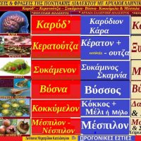 Λέξεις και φράσεις της Ποντιακής διαλέκτου με αρχαιοελληνικές ρίζες – Της Δέσποινας Μιχαηλίδου Καπλάνογλου