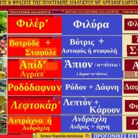 Λέξεις και φράσεις της Ποντιακής διαλέκτου με αρχαιοελληνικές ρίζες – Της Δέσποινας Μιχαηλίδου Καπλάνογλου