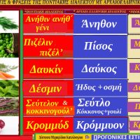 Λέξεις και φράσεις της Ποντιακής διαλέκτου με αρχαιοελληνικές ρίζες – Της Δέσποινας Μιχαηλίδου Καπλάνογλου